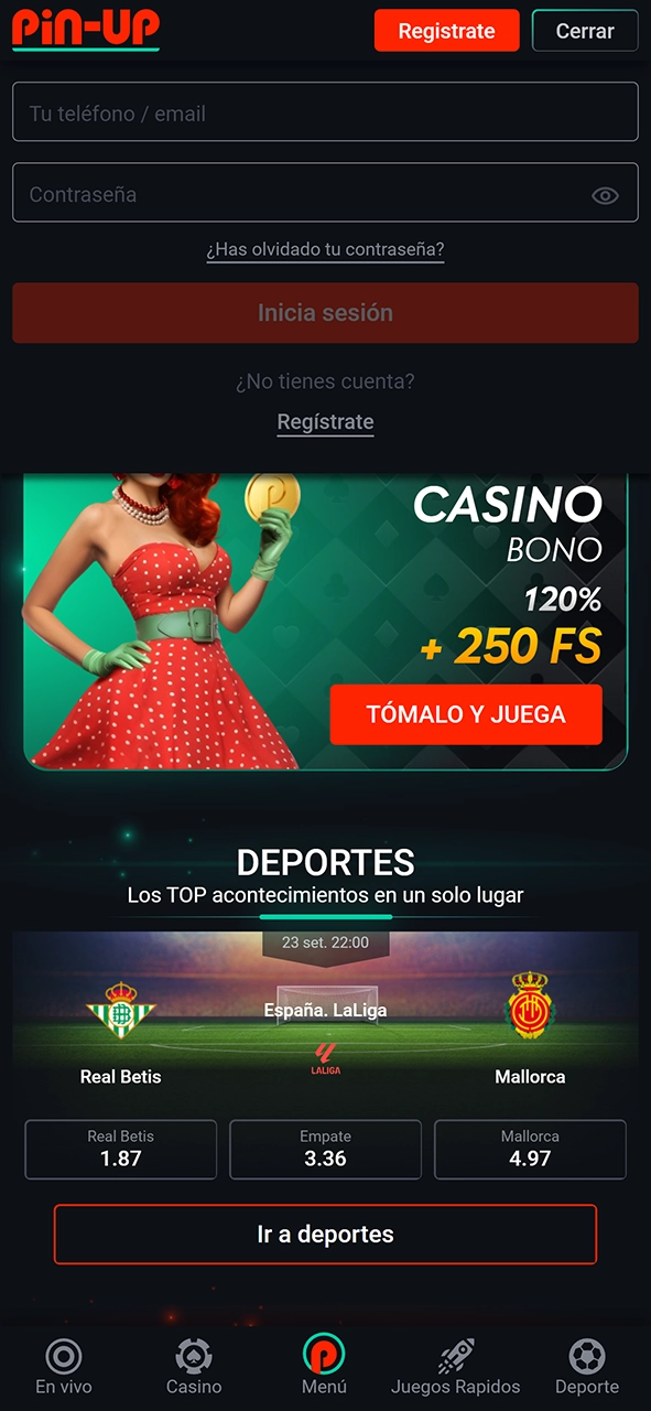 Inicia sesión en tu cuenta de Pin Up Casino.