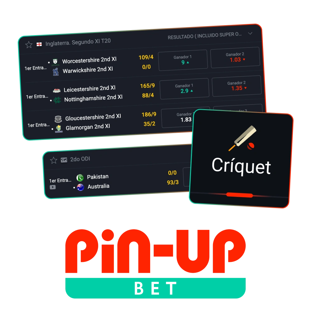 Empieza a apostar en partidos de críquet con la plataforma Pin-Up.