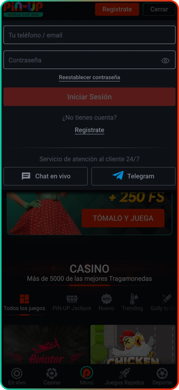 Inicia sesión en tu cuenta de Pin-Up Casino.