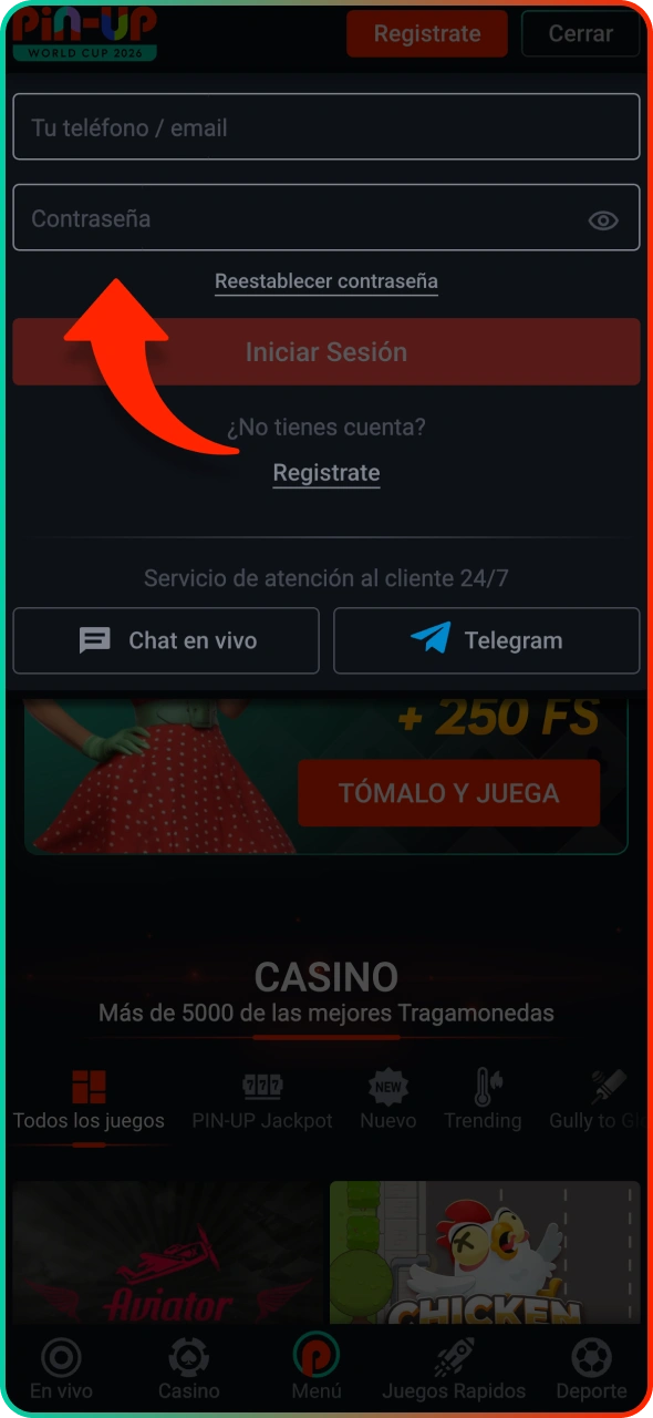 Inicia sesión en tu cuenta de Pin-Up utilizando tu información personal.