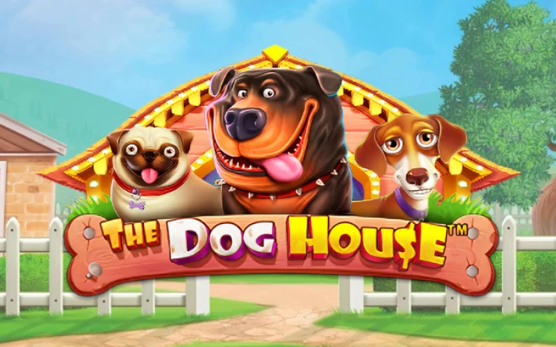 Prueba a jugar al juego de casino The Dog House en Pin-Up.