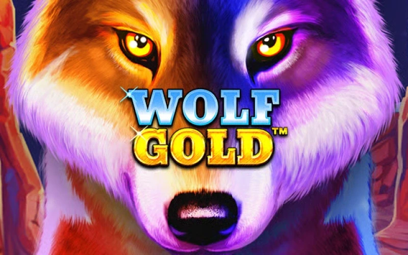 La plataforma Pin-Up te ofrece grandes ganancias en Wolf Gold.